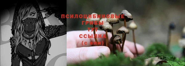 ешки Лысково