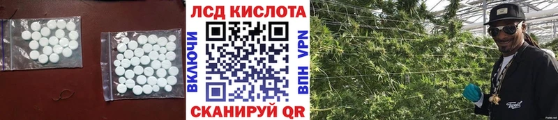 магазин продажи   Городовиковск  Лсд 25 экстази кислота 