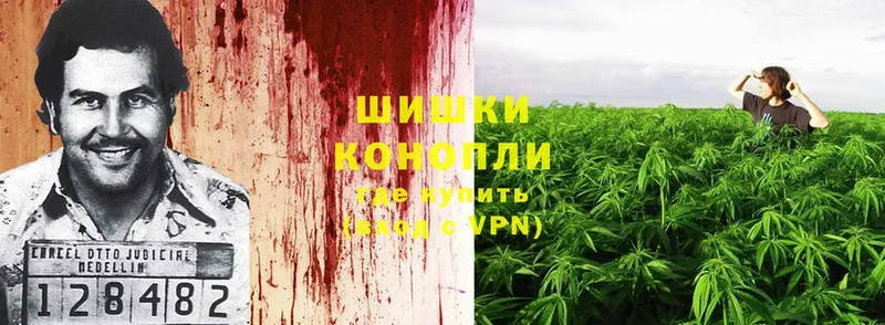 Марихуана Ganja  blacksprut tor  Городовиковск 